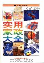 实用家政大全（1997 PDF版）