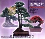 温州盆景（1999 PDF版）