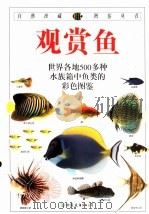 观赏鱼（1997 PDF版）