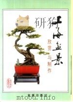 上海盆景欣赏与制作（1991 PDF版）