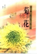 菊花（1998 PDF版）