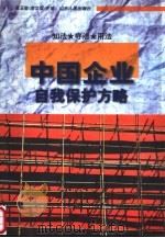 中国企业自我保护方略（1999 PDF版）