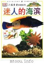 迷人的海滨（1998 PDF版）