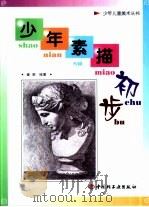 少年素描初步 1996 PDF电子版封面 7501919097 崔莉绘著