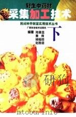 野生中药材采集加工技术  下  果实和种子类、全草类、菌藻类、动物类、矿物类、其他类（1999 PDF版）