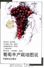 葡萄丰产栽培图说（1993 PDF版）