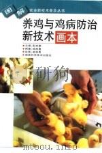 养鸡与鸡病防治新技术画本 1999 PDF电子版封面 7535726380 彭克勤主编;曲湘勇编著
