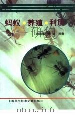 蚂蚁·养殖·利用 1995 PDF电子版封面 7543906074 龚泉福,高洁编著