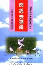 肉鸽·竞翔鸽（1998 PDF版）