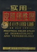 实用皮肤病性病彩色图谱（1999 PDF版）