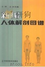 新编人体解剖图谱（1998 PDF版）