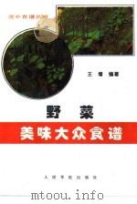 野菜美味大众食谱（1995 PDF版）