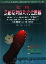 实用足部反射区和穴位图解（1996 PDF版）