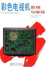 彩色电视机原理与维修（1994 PDF版）