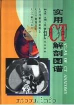 实用CT解剖图谱（1998 PDF版）