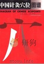 中国针灸穴位图谱（1999 PDF版）