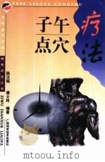 子午点穴疗法（1999 PDF版）