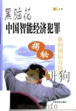 黑脑花  中国智能经济犯罪案例揭秘与防范（1999 PDF版）