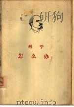 怎么办  我们运动中的迫切问题（1960 PDF版）