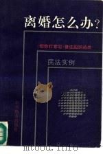 离婚怎么办?  民法、婚姻法、财产、债权、人权、著作权法、继承法（1994 PDF版）