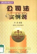 公司法实例说（1999 PDF版）