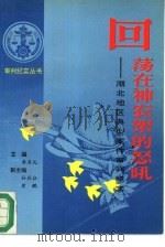 回荡在神龙架的怒吼  湖北地区典型案件审判纪实（1993 PDF版）