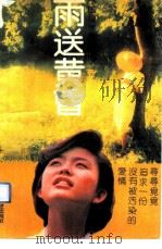 雨送黄昏（1990 PDF版）