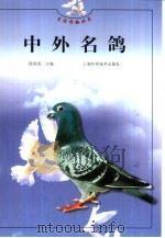 中外名鸽（1999 PDF版）