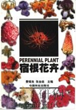 宿根花卉（1999 PDF版）
