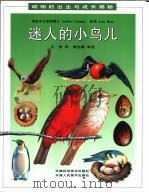 迷人的小鸟儿（1997 PDF版）