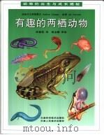 有趣的两栖动物（1997 PDF版）