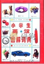 小学生英汉图解词典（1998 PDF版）