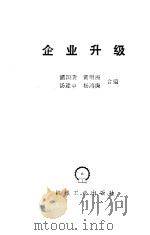 企业升级（1988 PDF版）