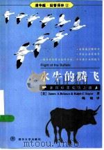 水牛的腾飞  走向经营成功之路（1999 PDF版）