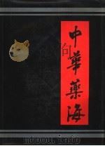 中华药海  上（1993 PDF版）