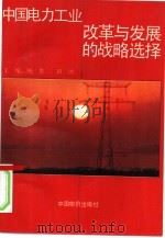 中国电力工业发展与改革的战略选择（1991 PDF版）