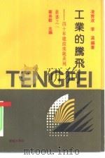 工业的腾飞（1991 PDF版）