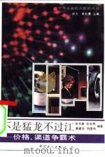 不是猛龙不过江  价格、渠道争霸术（1991 PDF版）