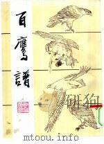 百鹰谱 1994 PDF电子版封面 753050407X 夏晨等编绘