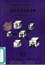 项目经济分析准则（1998 PDF版）