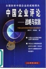 中国企业评论 战略与实践 1999 PDF电子版封面 7801472853 康荣平,柯银斌著
