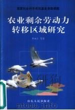 农业剩余劳动力转移区域研究（1999 PDF版）