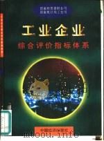 工业企业综合评价指标体系（1996 PDF版）