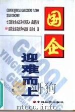 国企：迎难而上（1999 PDF版）