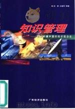 知识管理  如何构建中国的知识型企业（1999 PDF版）