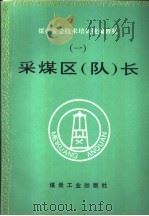 采煤区 队 长 1995 PDF电子版封面 7502011242 朱仁镇等编写