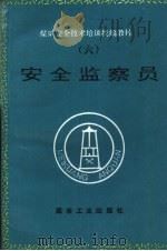 安全监察员（1995 PDF版）