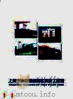 上海市外高桥保税区的加工贸易（ PDF版）