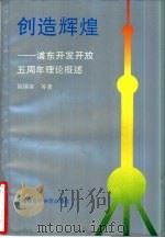 创造辉煌 浦东开发开放五周年理论概述 1995 PDF电子版封面 7806181261 姚锡棠等著