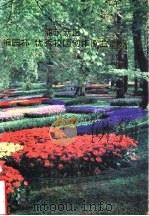 浦东新区“梅园杯”优秀校园创作歌曲选登 1996 PDF电子版封面